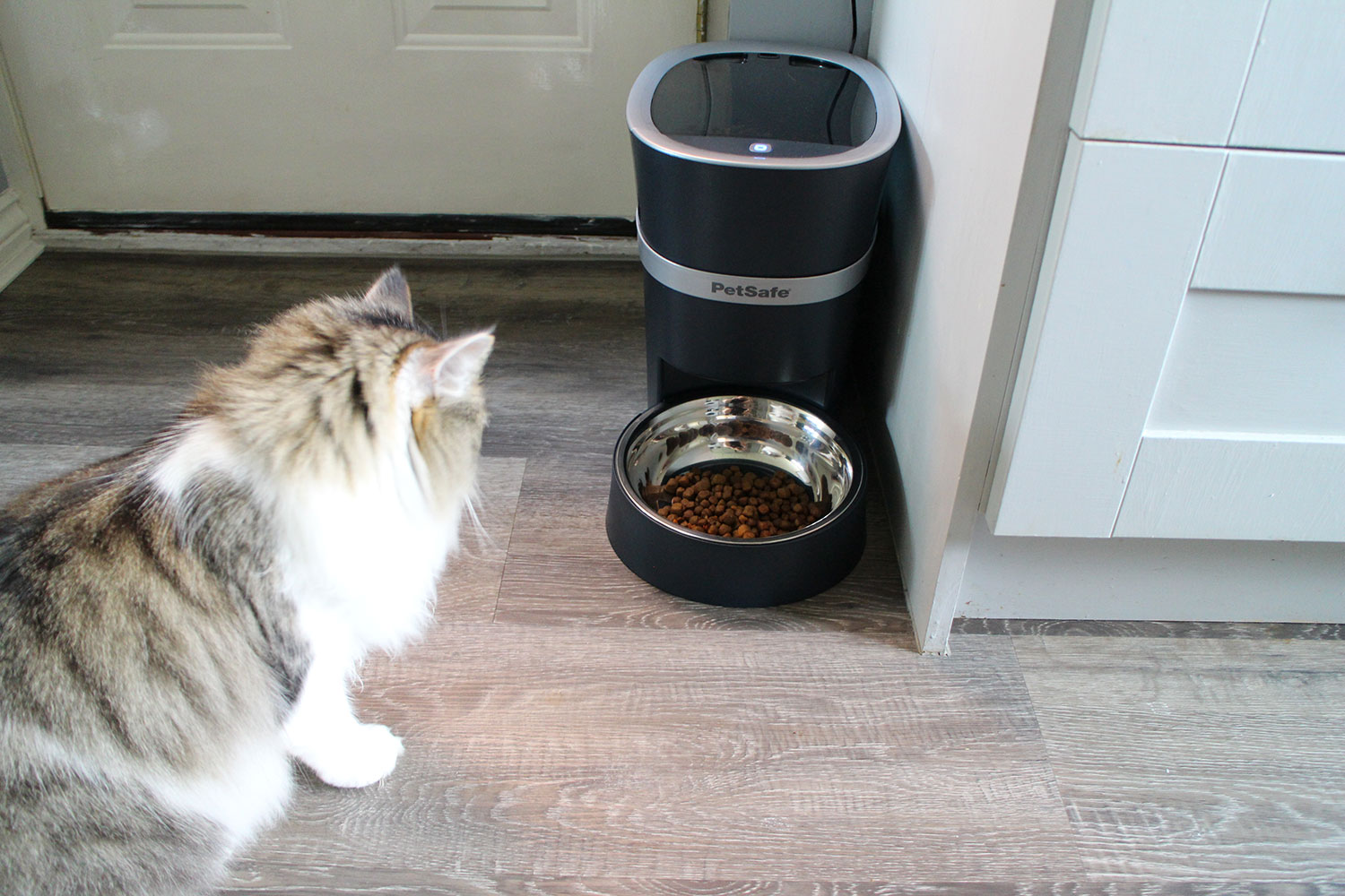 PetSafe Smart Feed Automatic Dog and Cat Feeder