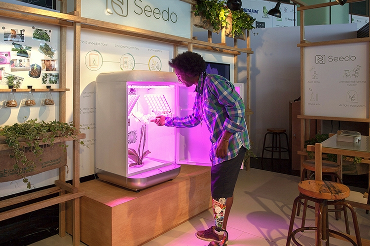 seedo grow box cannabis inspect