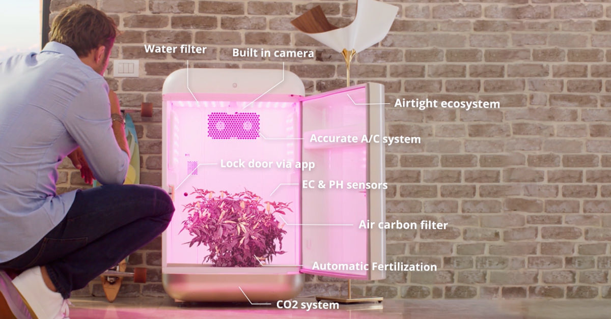 seedo grow box cannabis specs