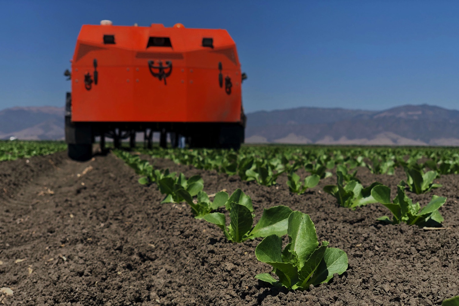 farmwise weed killing robot robot1