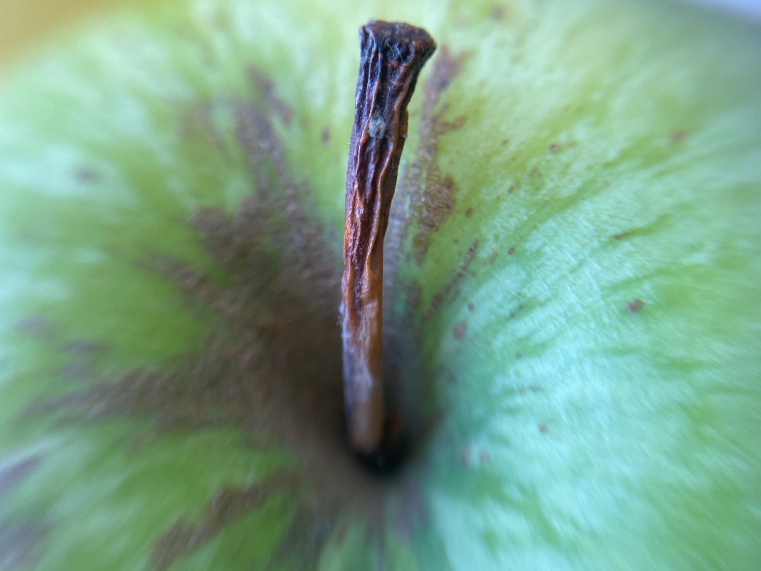 oneplus 7t macro lens iphone 11 lacks magniband apple