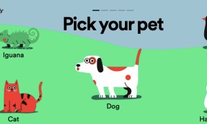 spotify pet playlist generator