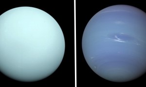 Uranus (left) and Neptune photographed by Voyager 2.