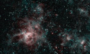 An image from NASA's Spitzer Space Telescope showing the Tarantula Nebula