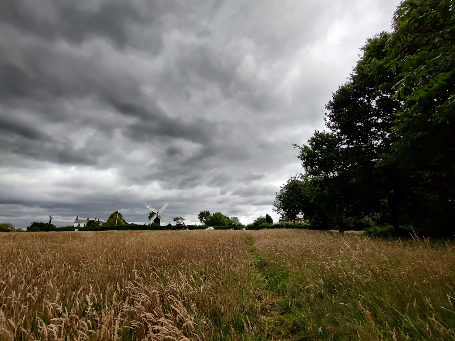 Nord Wide angle