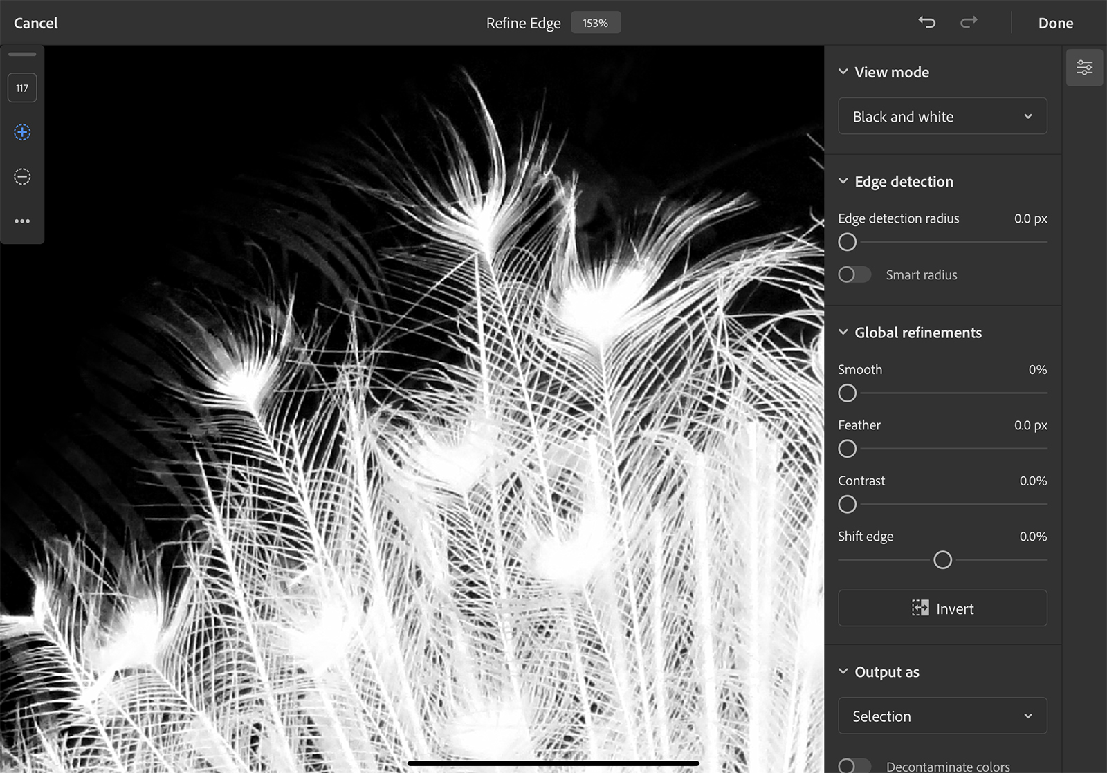 how to use photoshop for ipad refine edge peacock copy