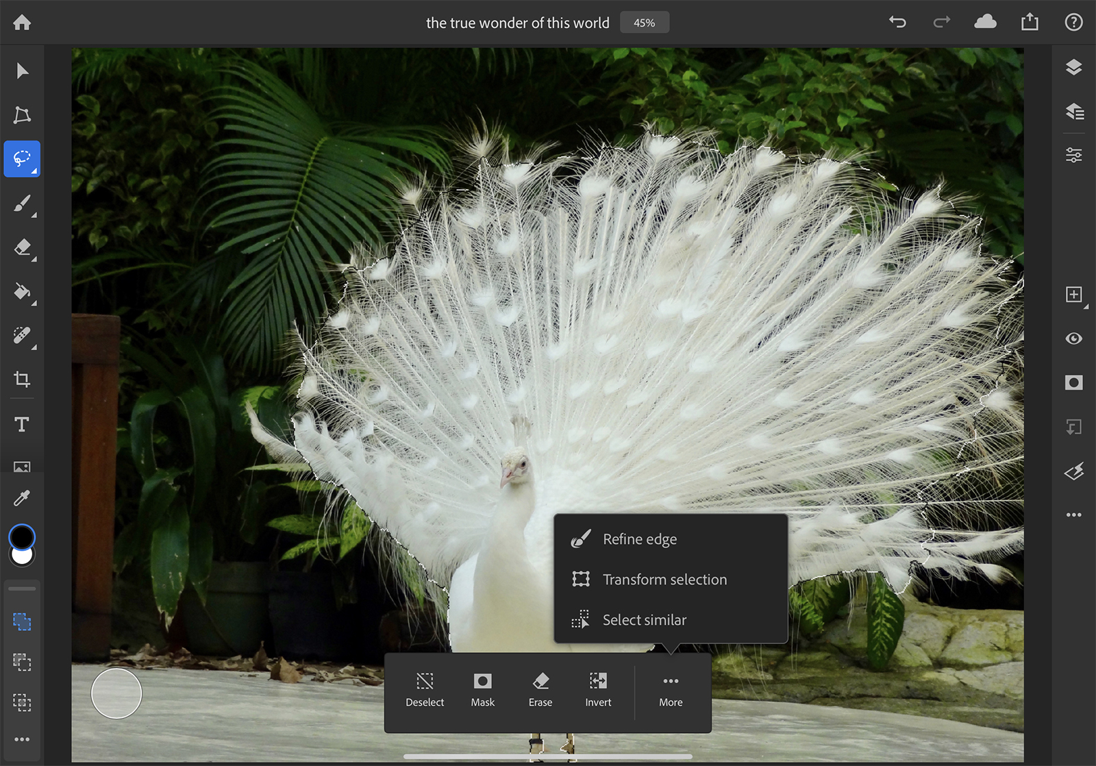 how to use photoshop for ipad refine edge selection peacock copy