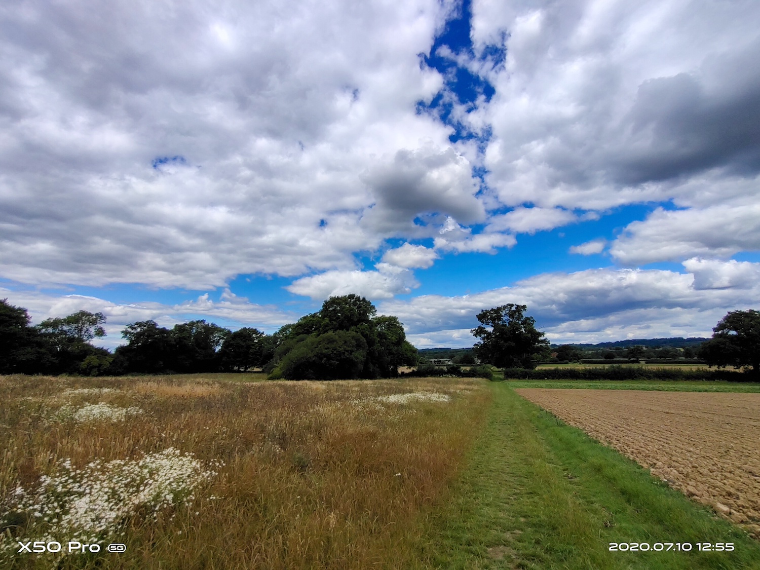 vivo x50 pro hands on review wide angle field