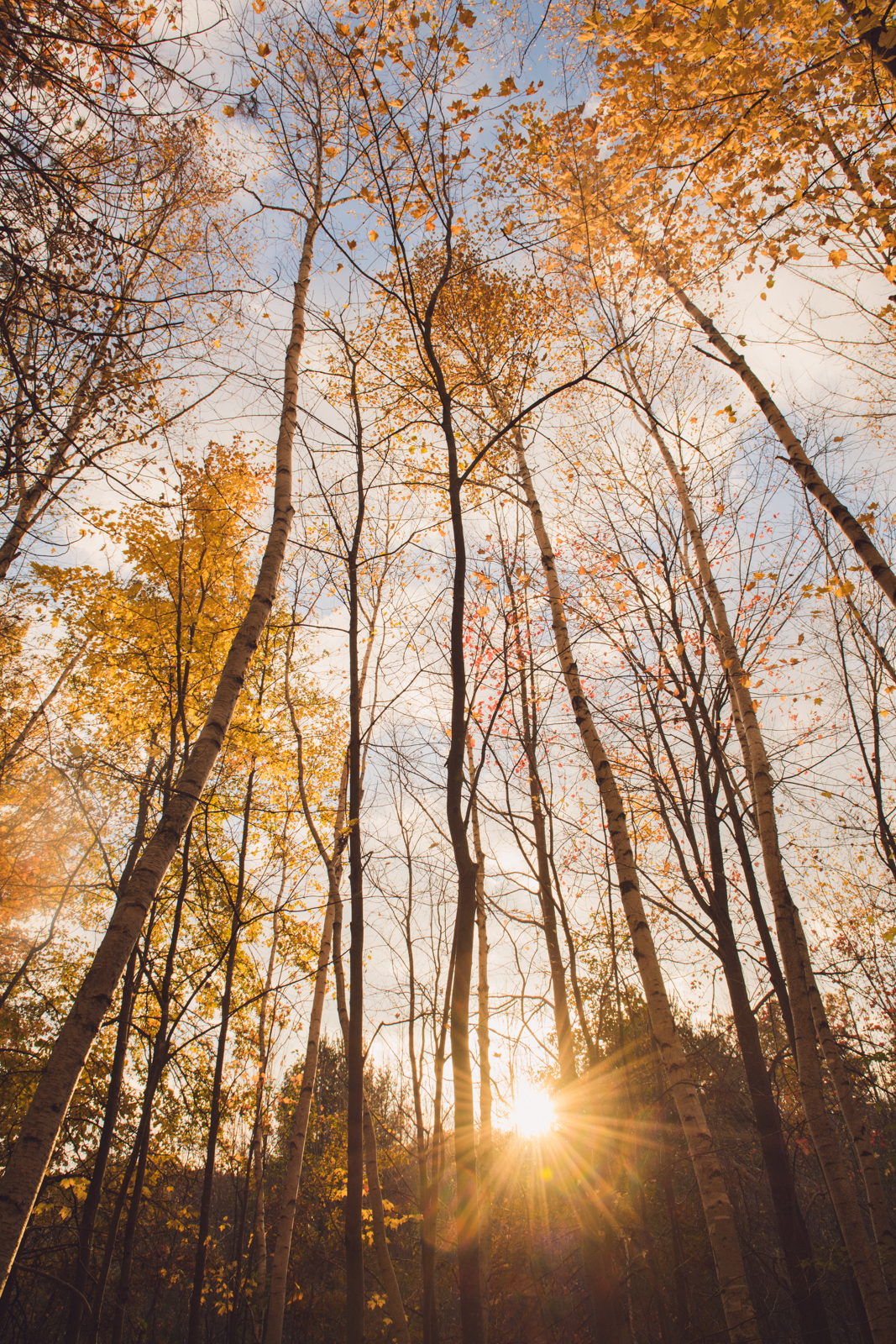 leaf peeping how to take fall pictures 8250