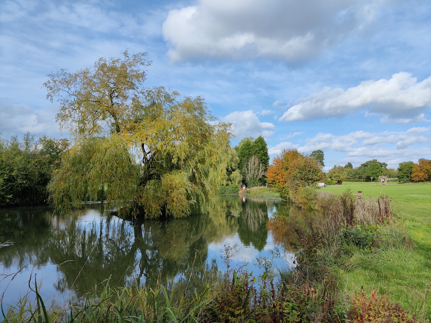 oneplus 8t review camera pond