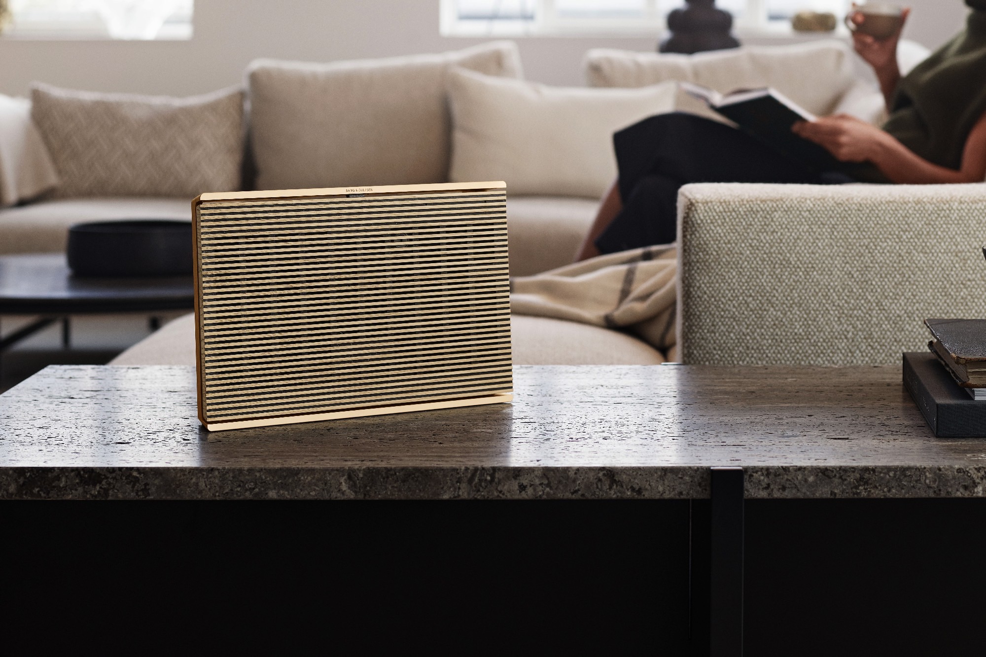 Bang & Olufsen Beosound Level