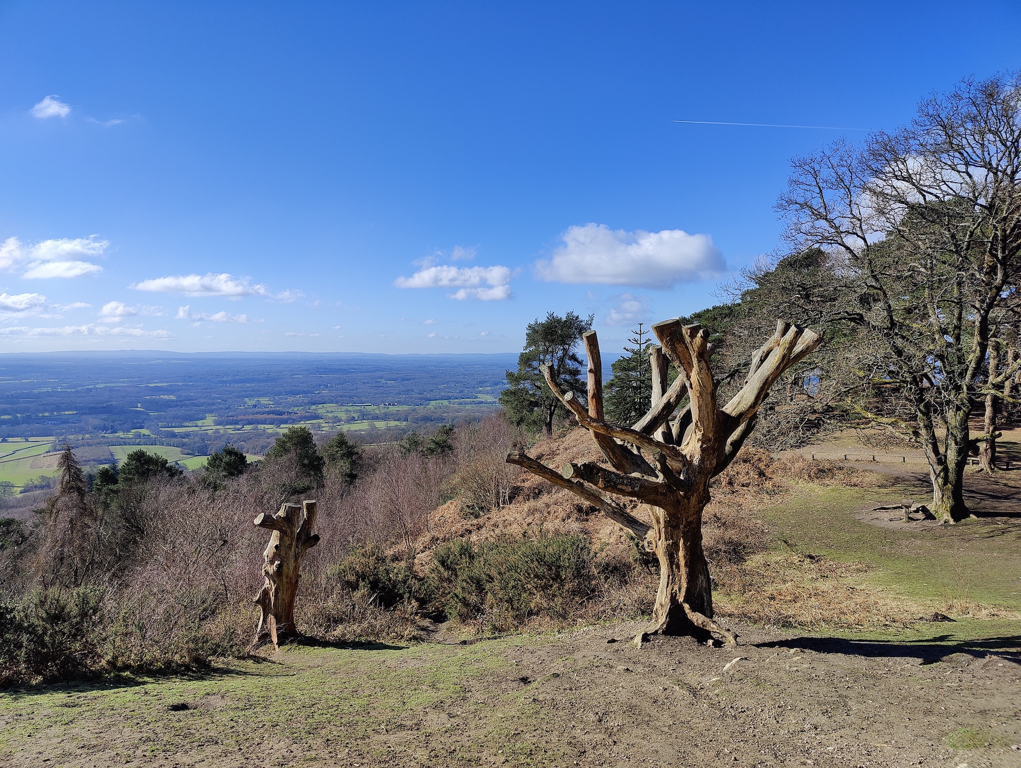 oneplus 9 pro review viewpoint