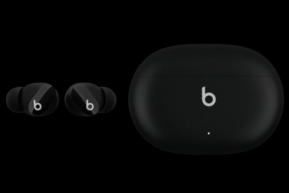 Beats true wireless earbuds leaked photo