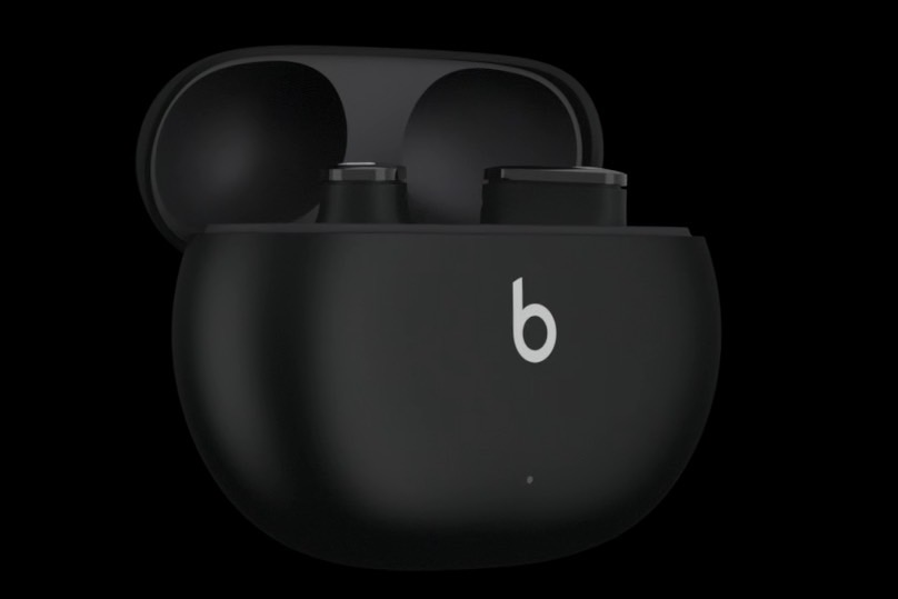 Beats true wireless earbuds leaked photo