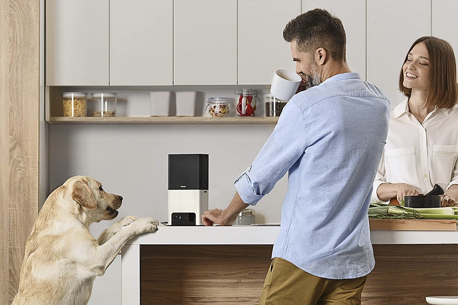 pet tech buying guide petcube bites 2 cams 1