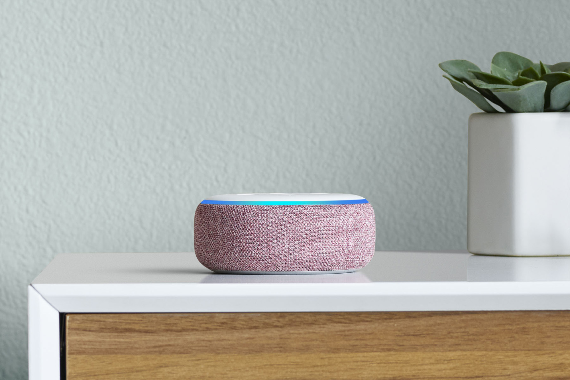 Plum Amazon Echo Dot on side table.