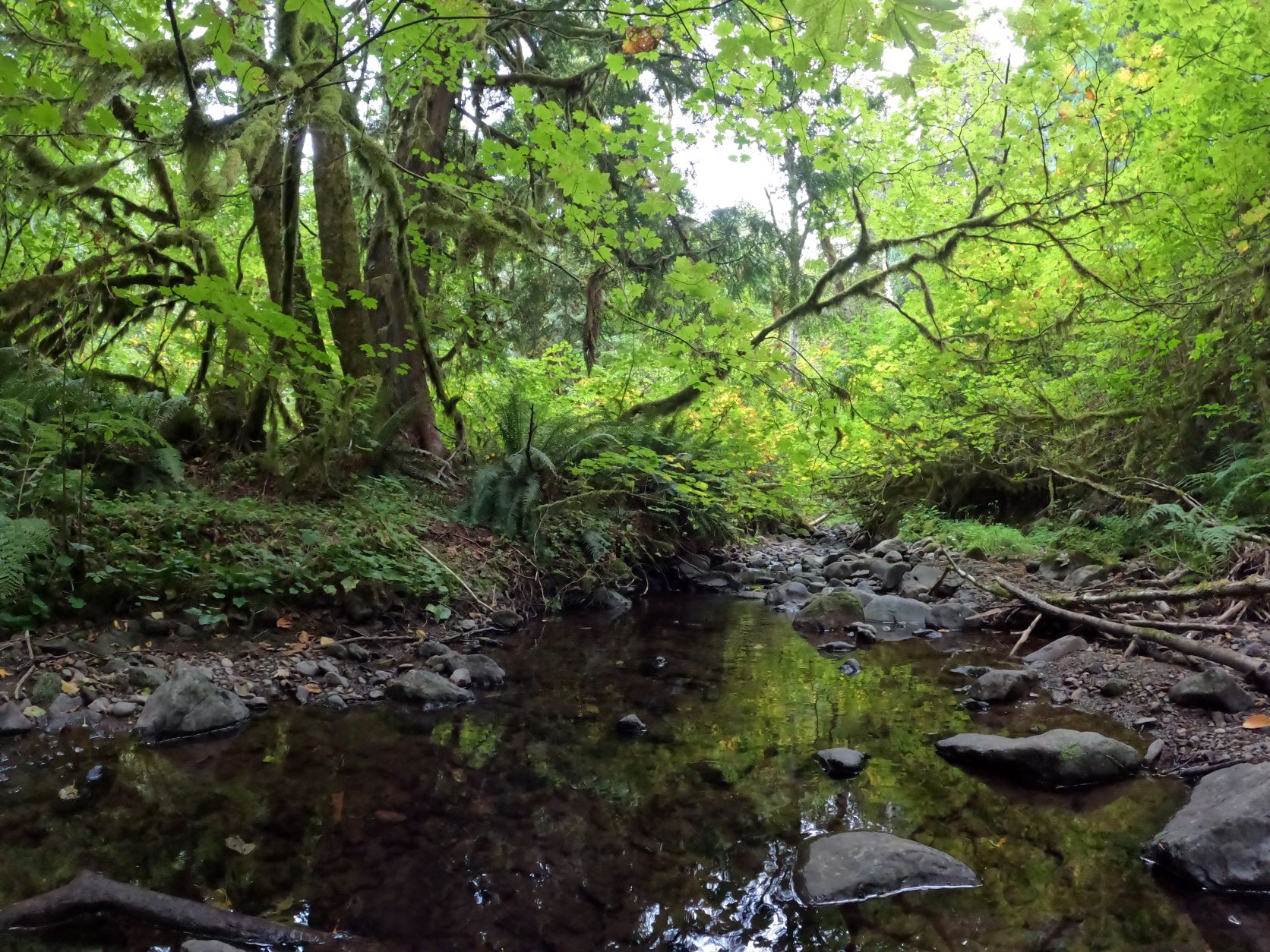 GoPro Hero 10 Sample Image Creek.