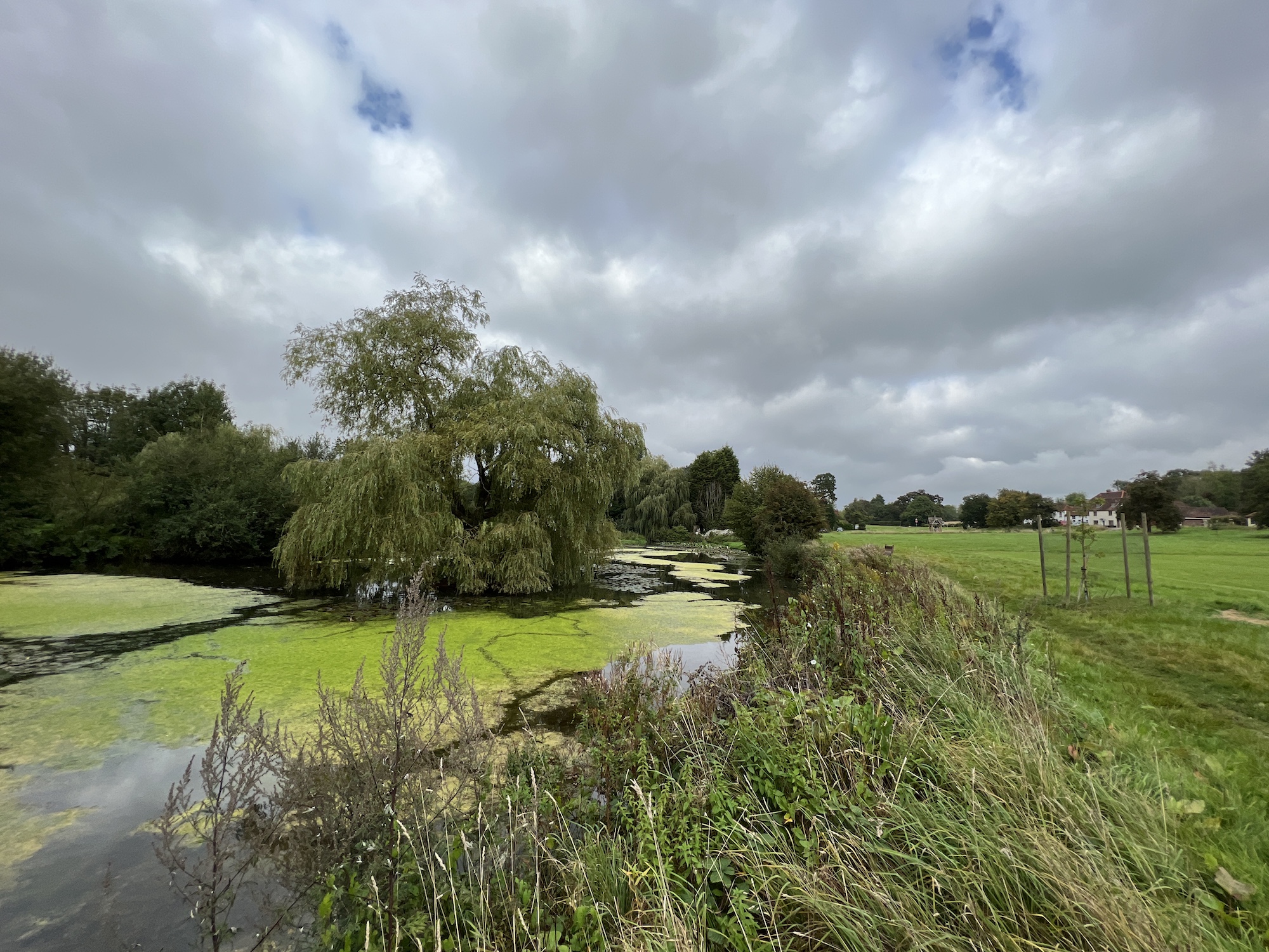 Wide-angle photo of a pond taken with the iPhone 13 Pro.