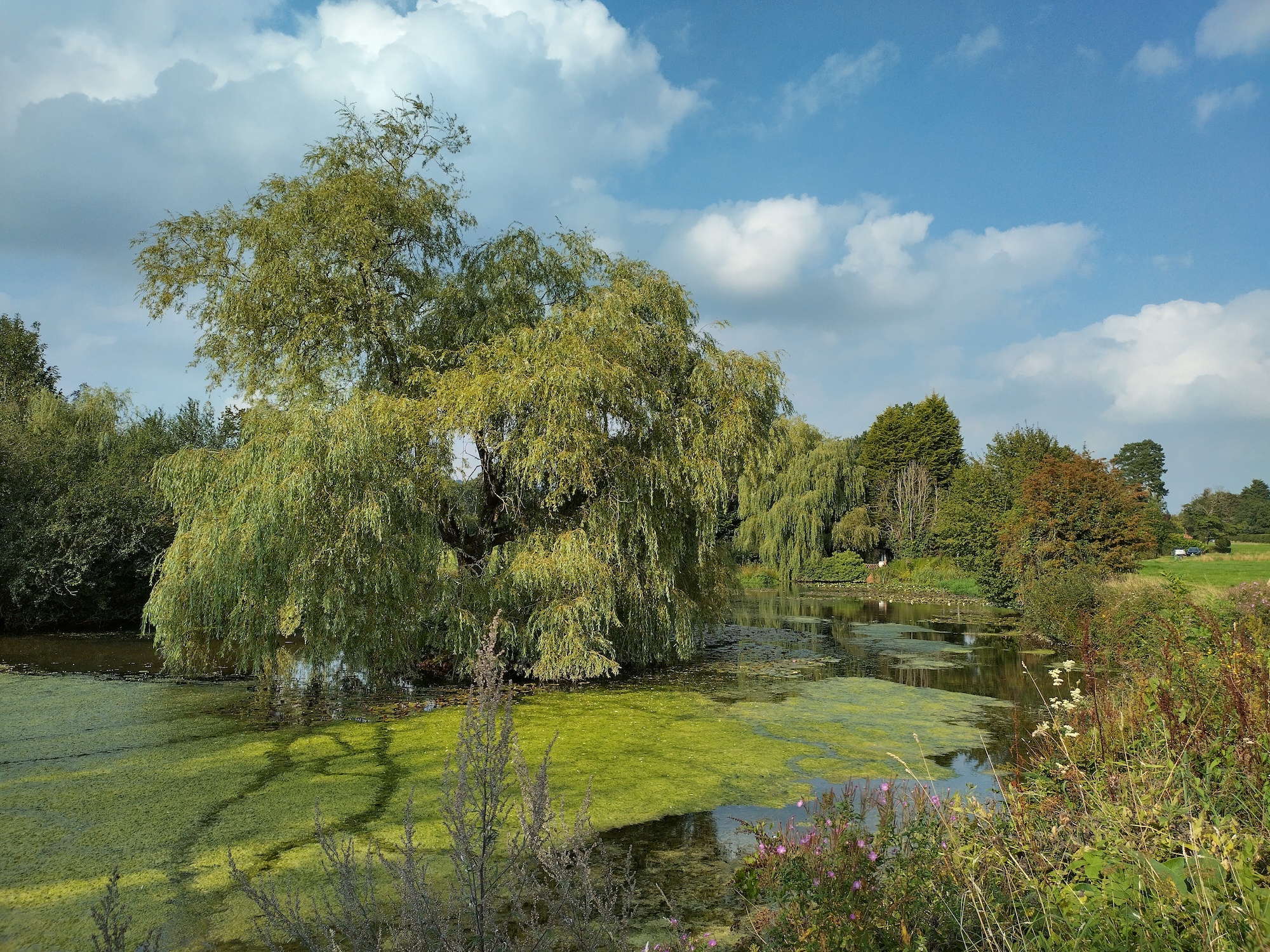 Photo of a pond taken with the Nokia XR20.