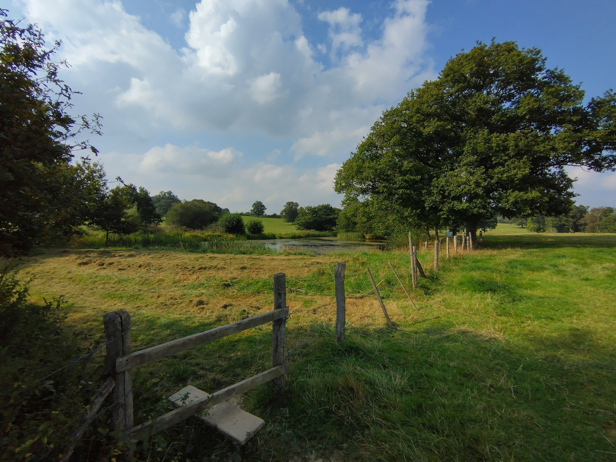 Wide-angle photo taken with the Nokia XR20.