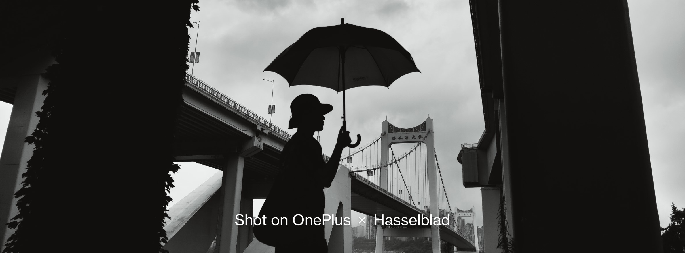 XPan BW OnePlus 9 sample image 2