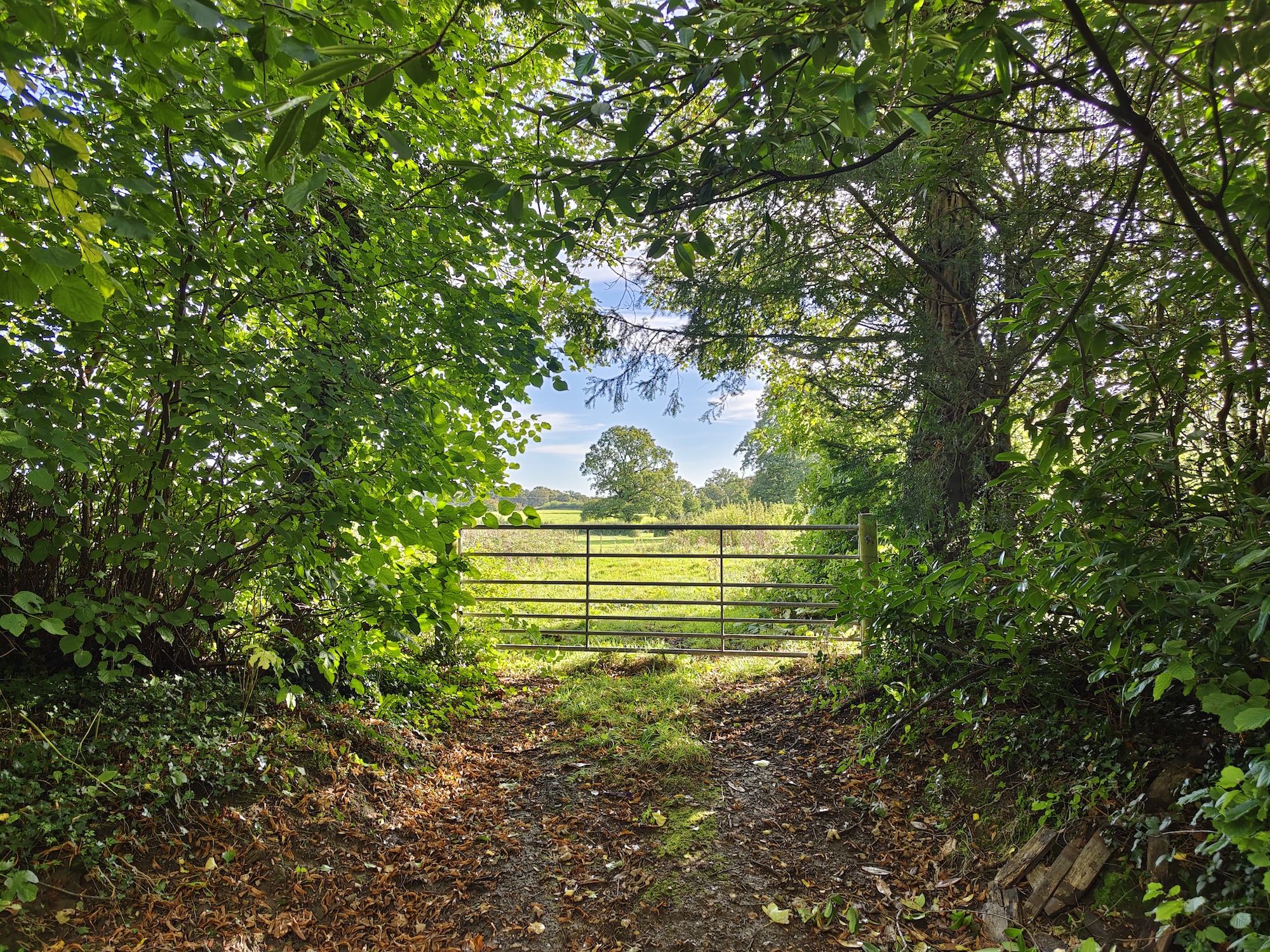 Photo of a gate taken with the Vivo X70 Pro+.