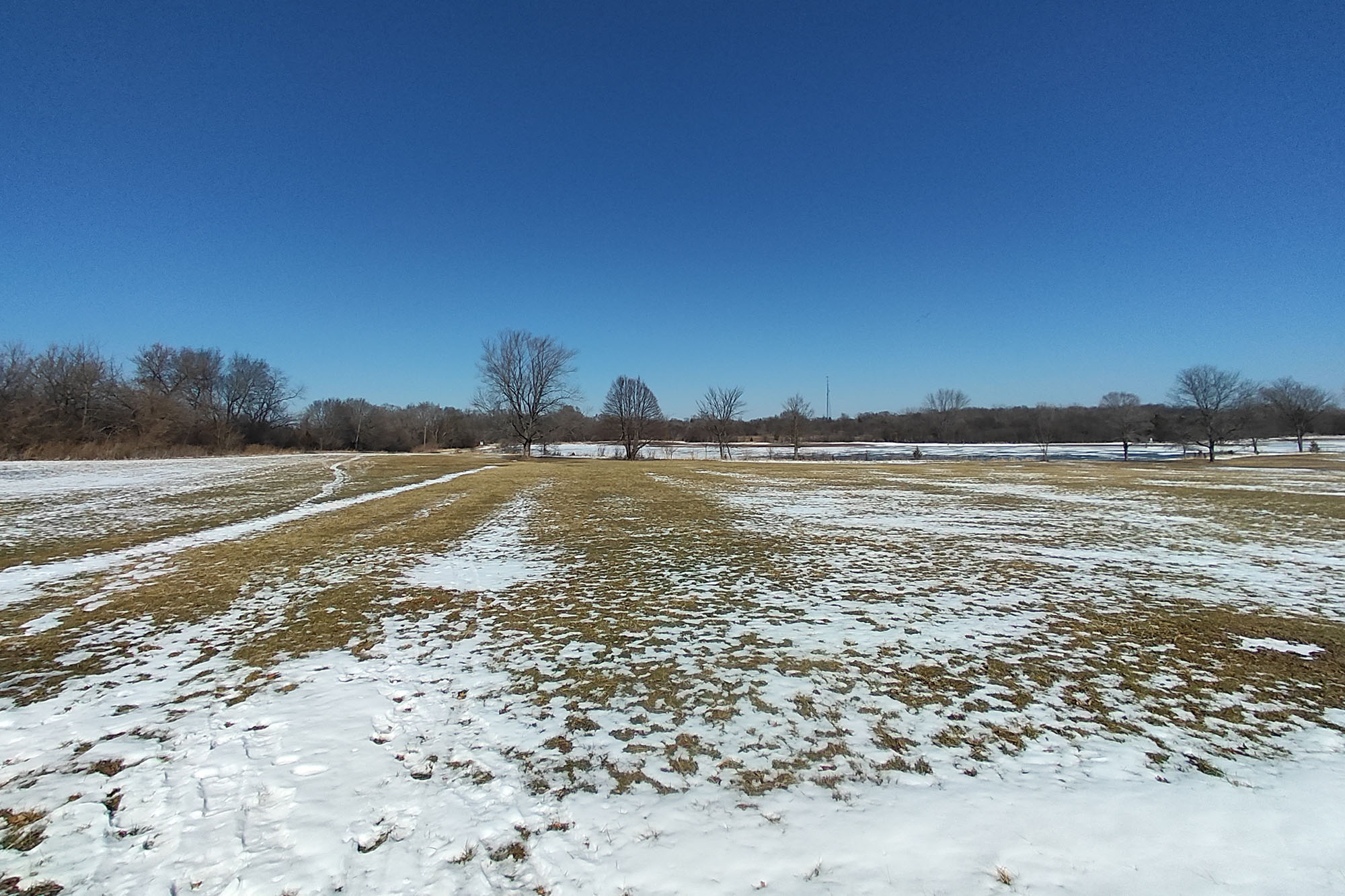 This is a photo sample of a forest taken with the ultrawide camera of the RedMagic 7.