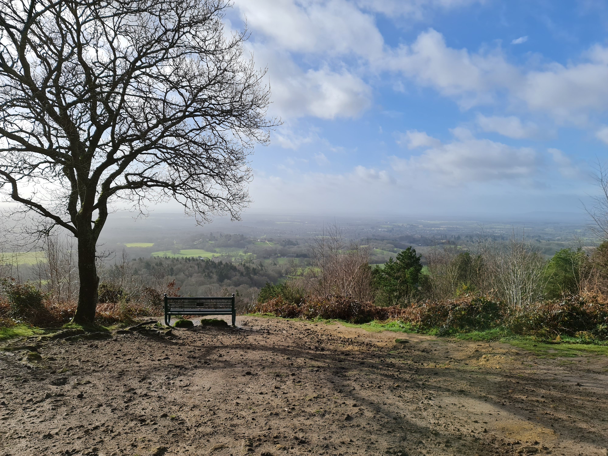 Hillside scene taken with the Note 20 Ultra.