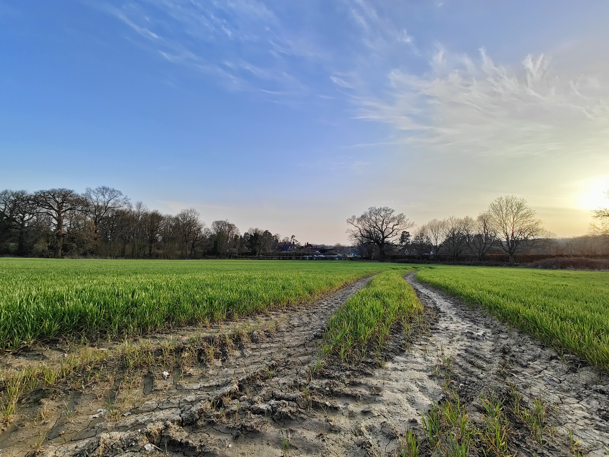 OnePlus 10 Pro photo of a field.