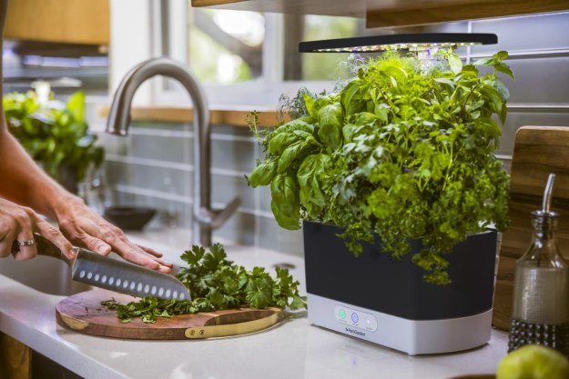 The AeroGarden Harvest on a countertop beside the sink.