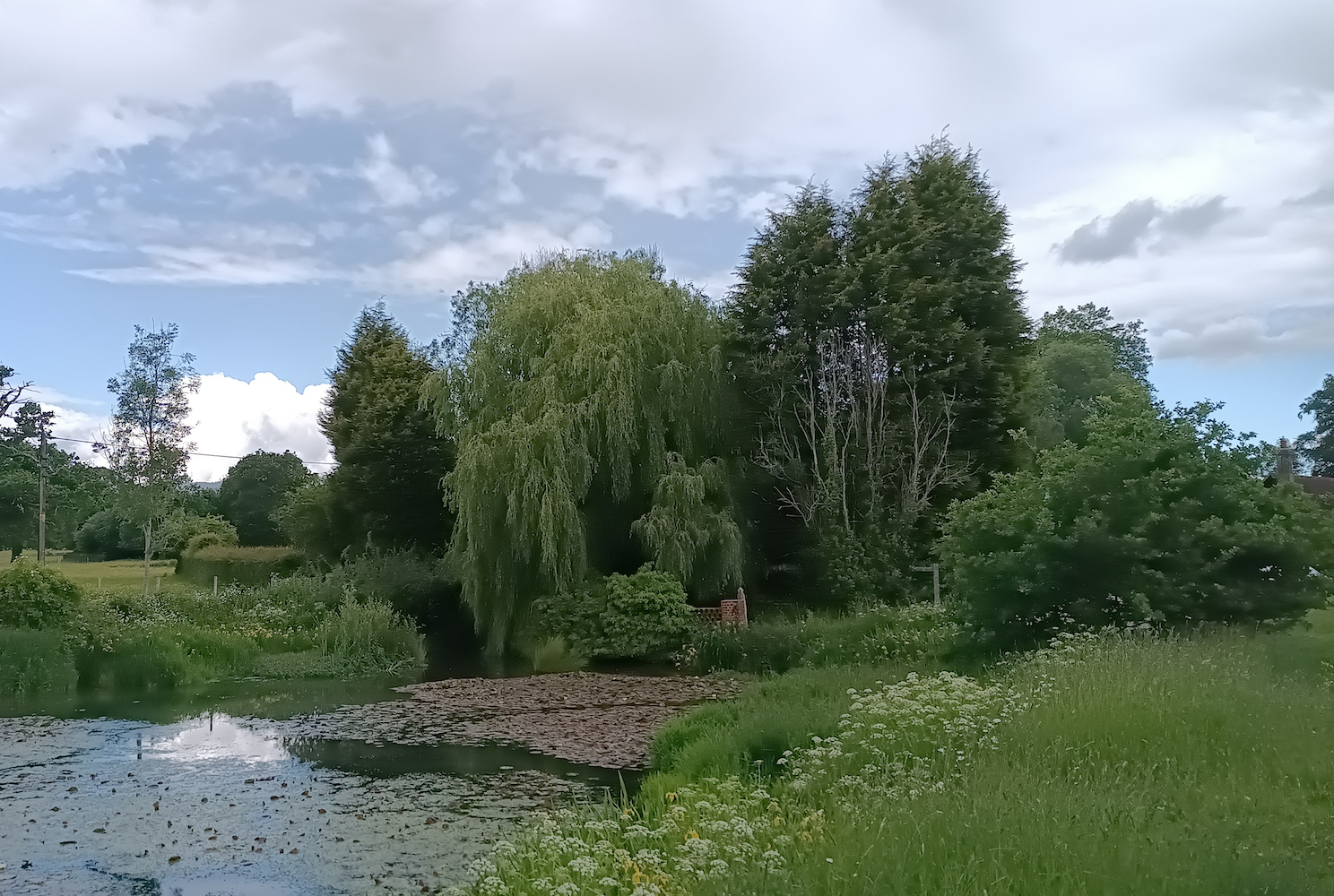 Photo of a pond taken with the Planet Computers Astro Slide 5G.