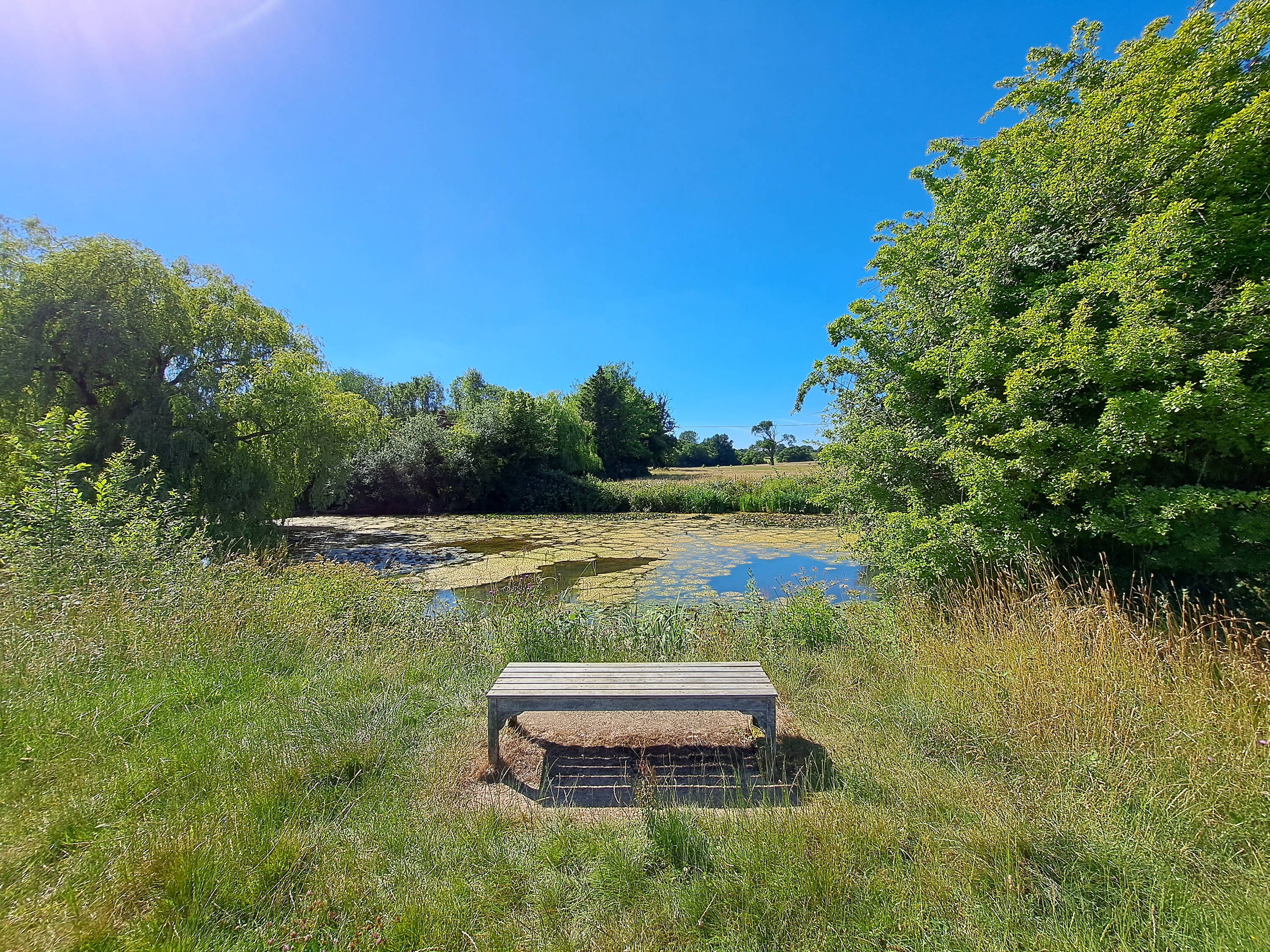 Wide-angle photo of a pond taken with the Samsung Galaxy A53 5G.