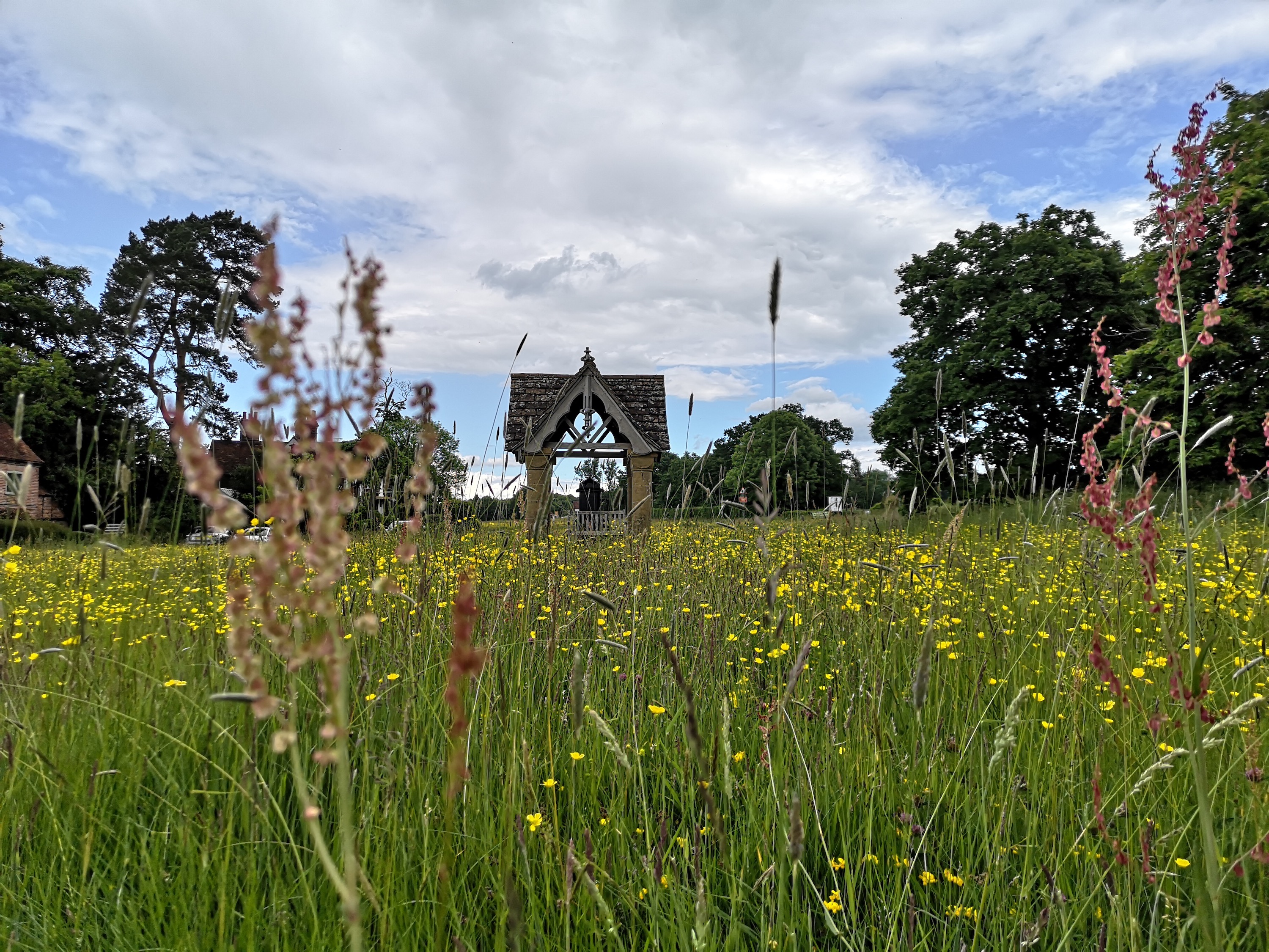 A photo of a field scene taken with the Huawei P20 Pro.