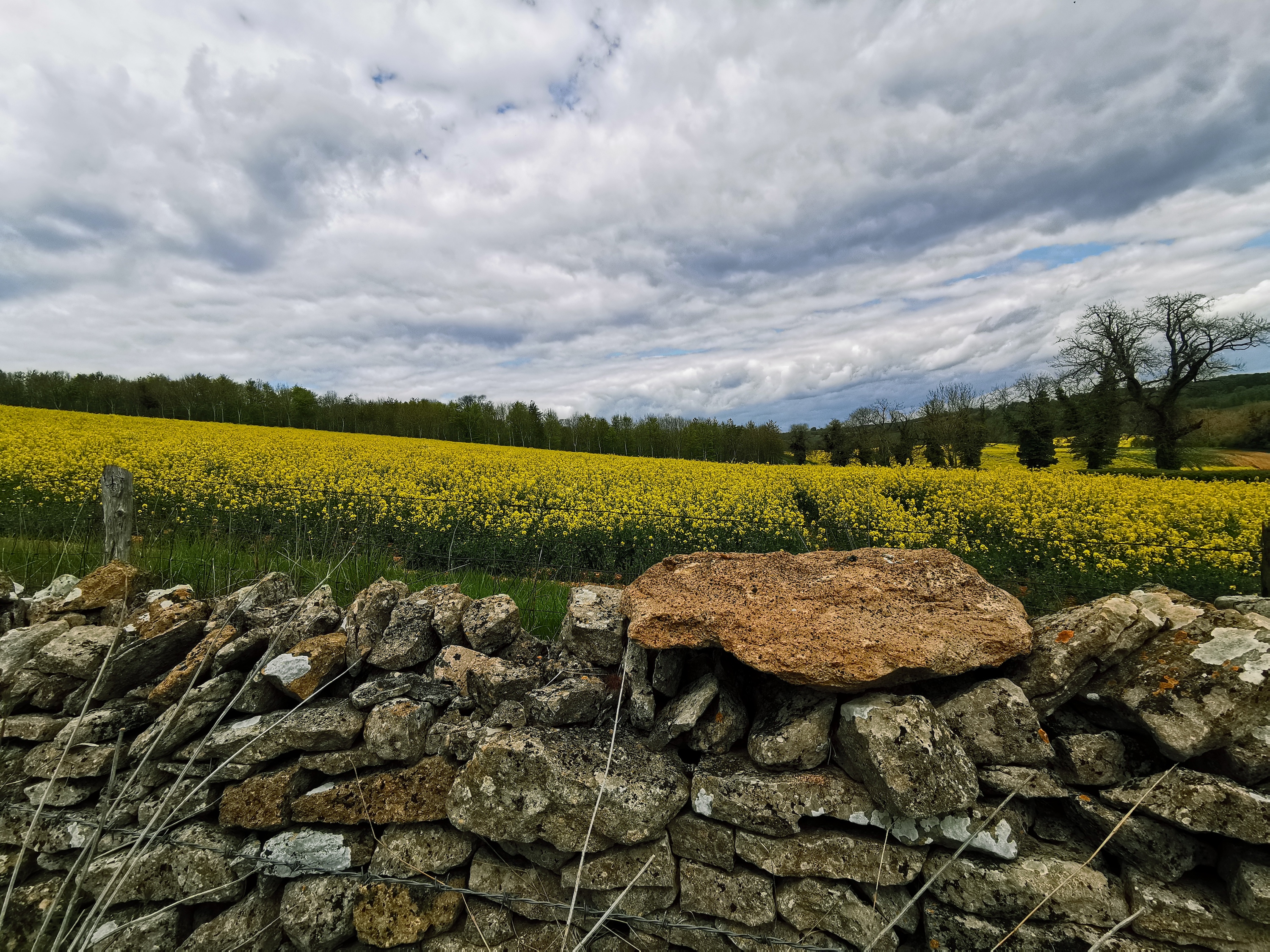 A country scene taken with the Huawei P30 Pro.