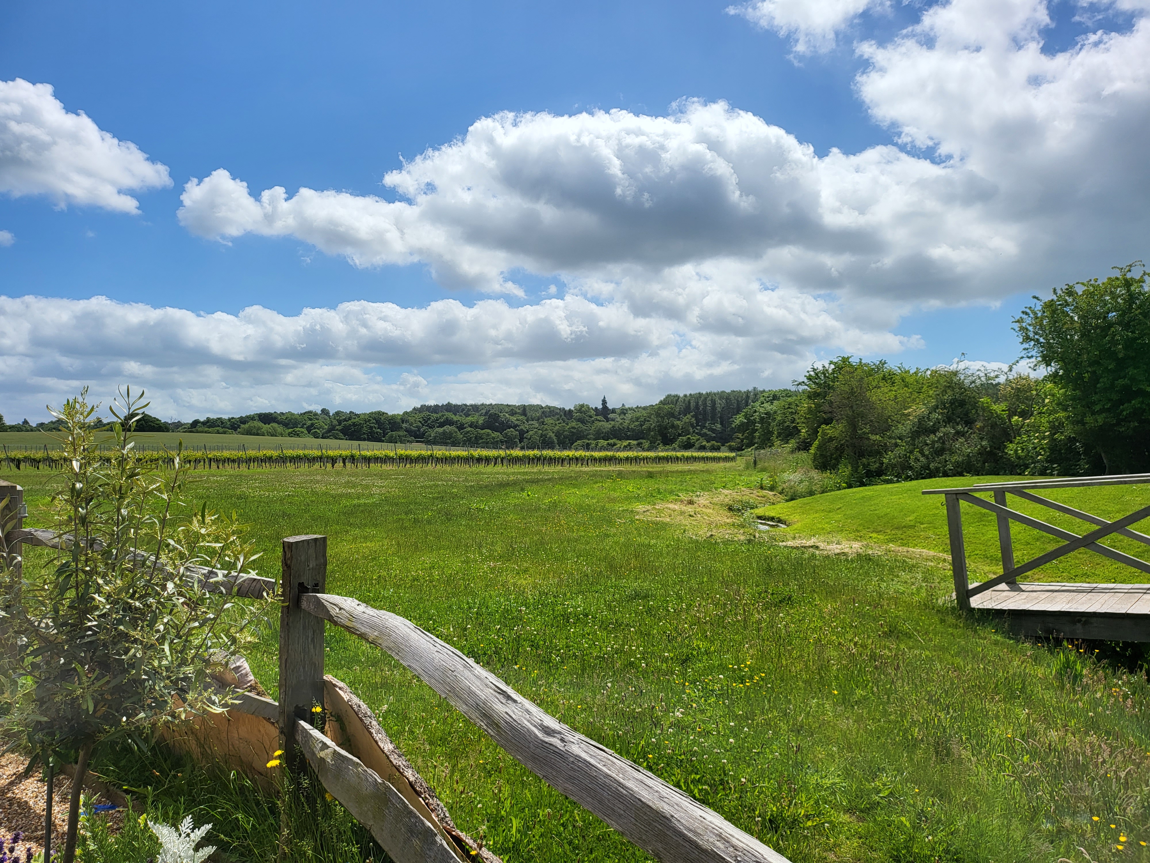 Galaxy Z Fold 3 photo of the countryside