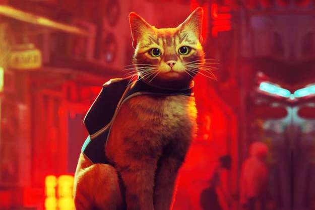 The main cat from Stray looking into the foreground with cyberpunk buildings behind him