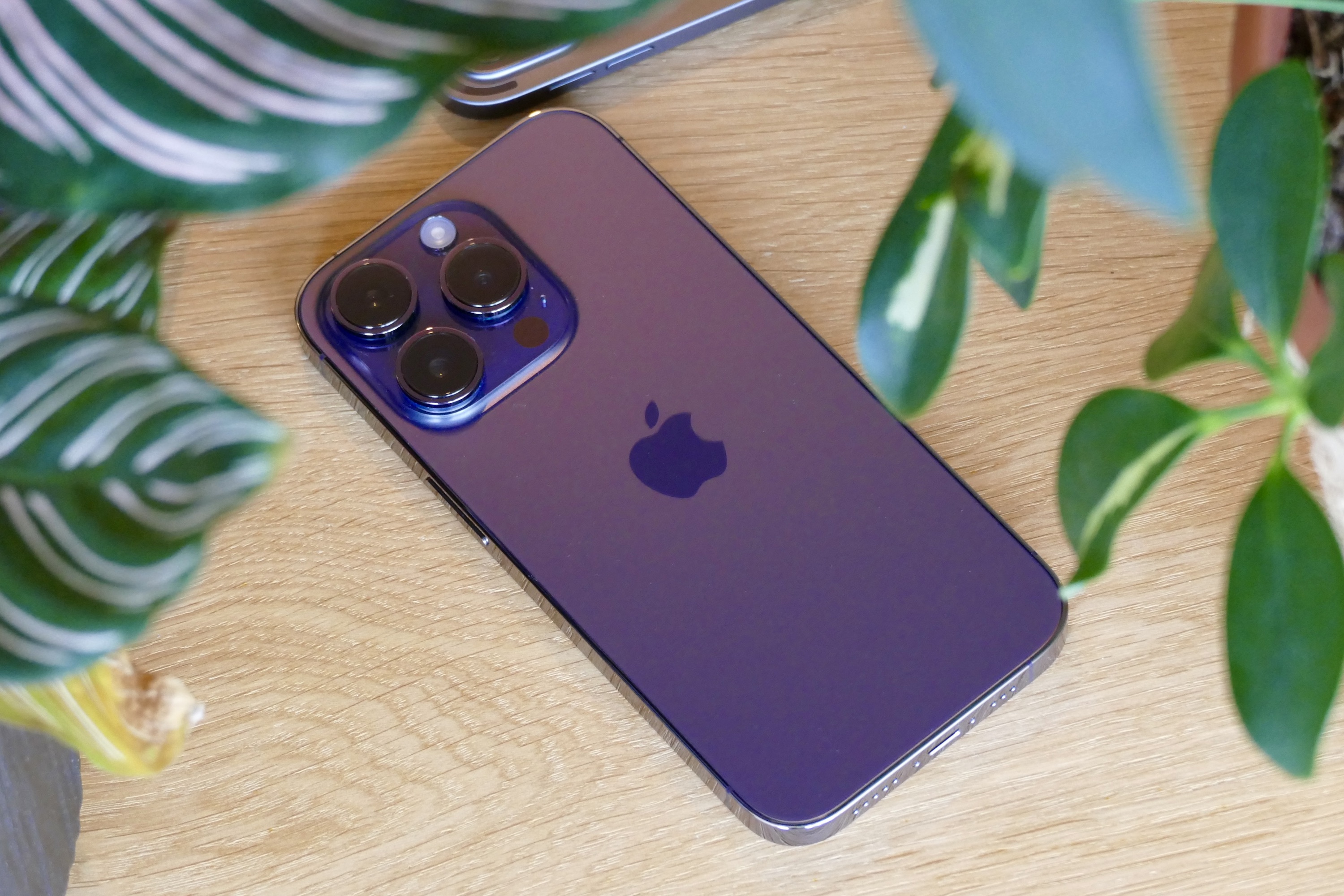 The Deep Purple color iPhone 14 Pro.