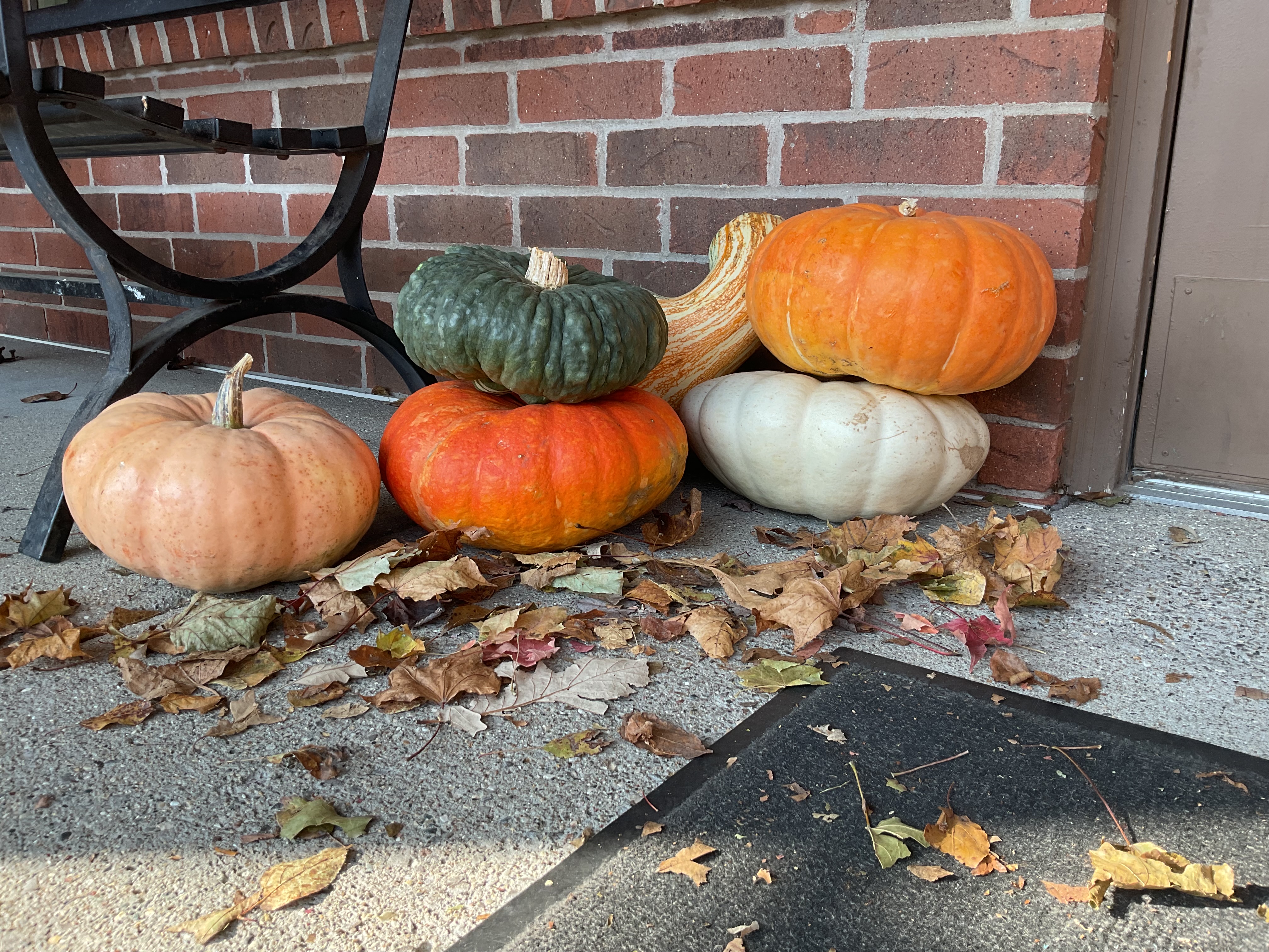 A photo of pumpkins sitting by a brick building, taken with the iPad (2022).
