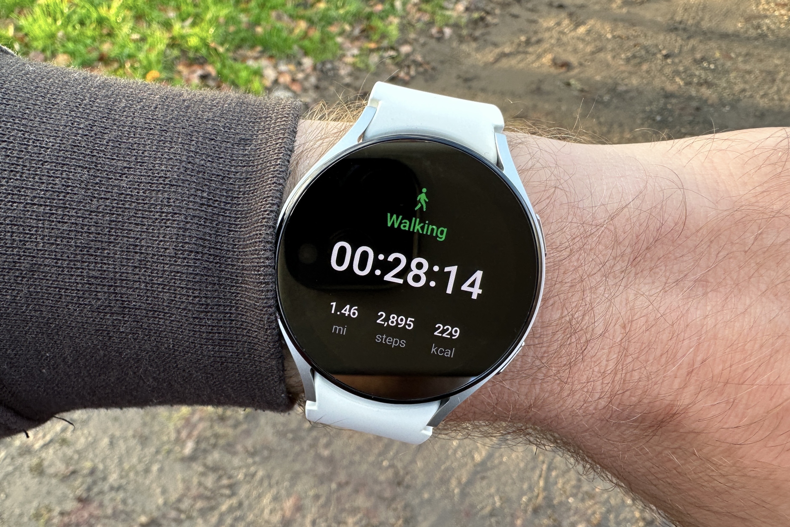 Data from a workout showing on the screen of the Samsung Galaxy Watch 5.