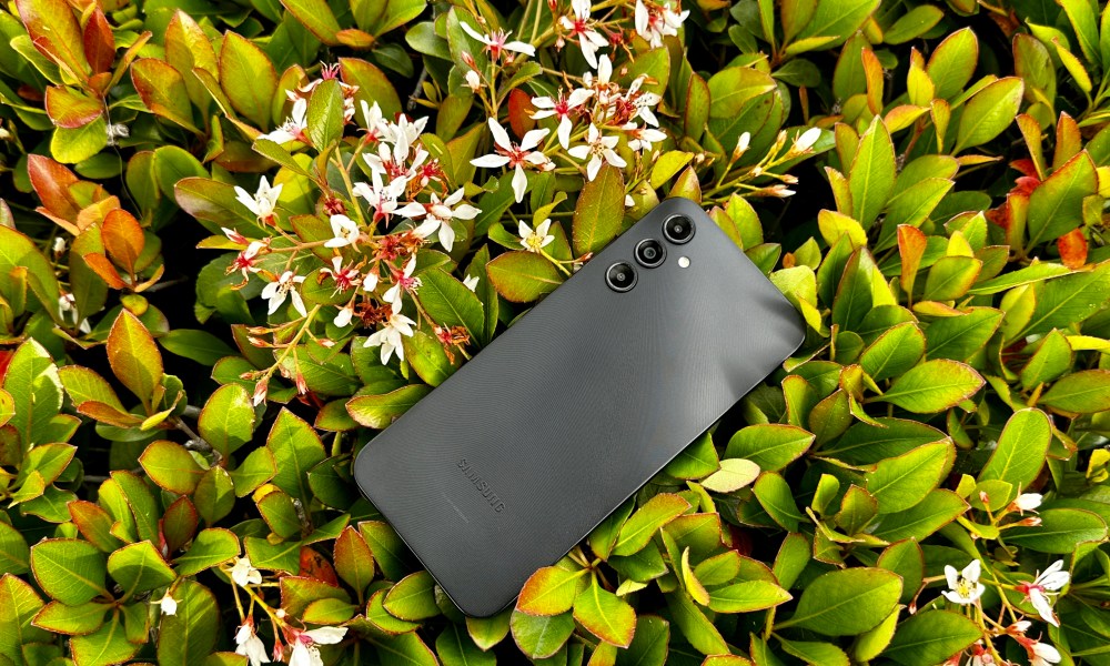 Samsung Galaxy A14 5G in a bush showing off the back of phone