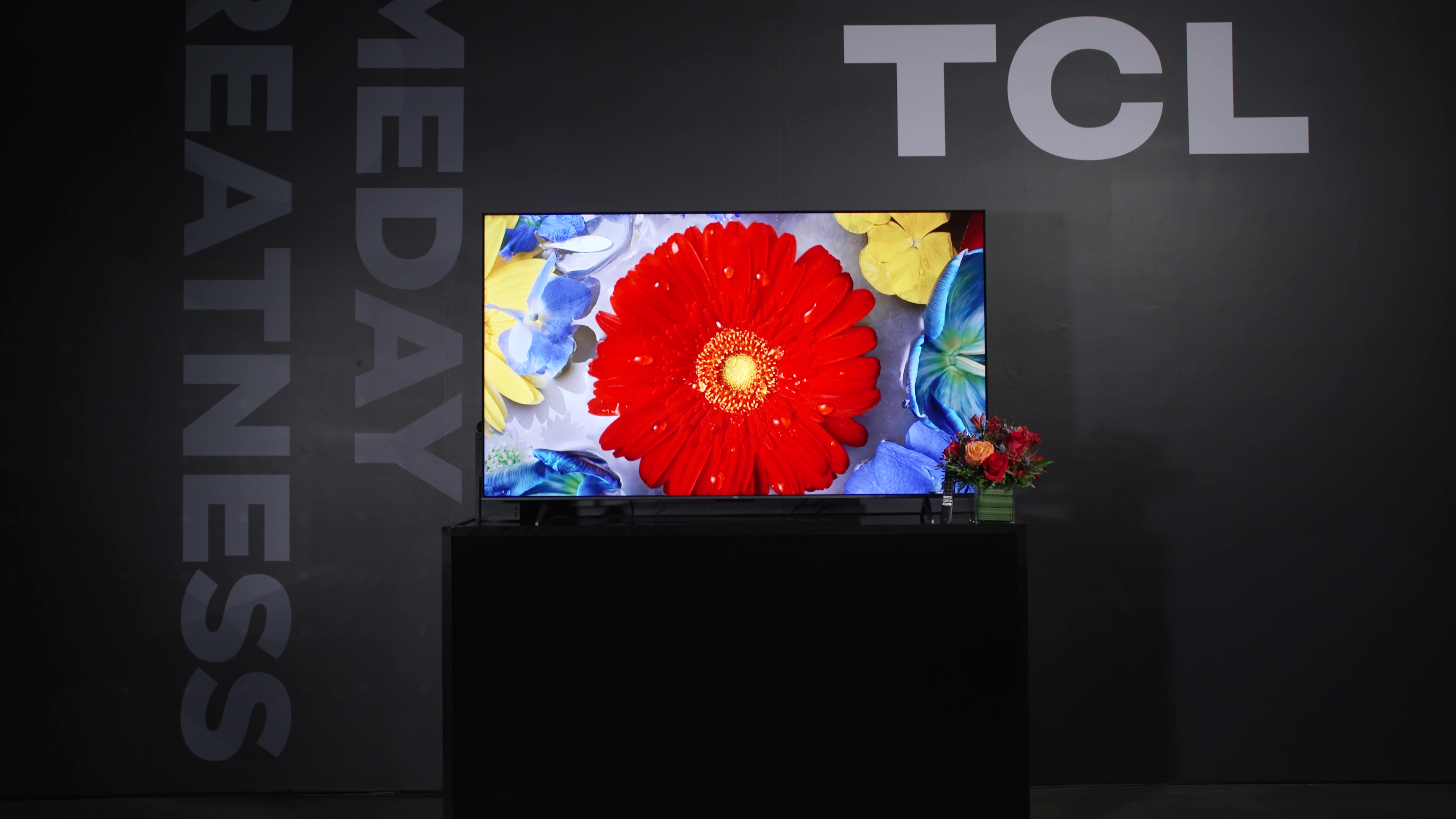 A close up of a red gerbera daisy against other flowers on a TCL QM8 Mini-LED TV.