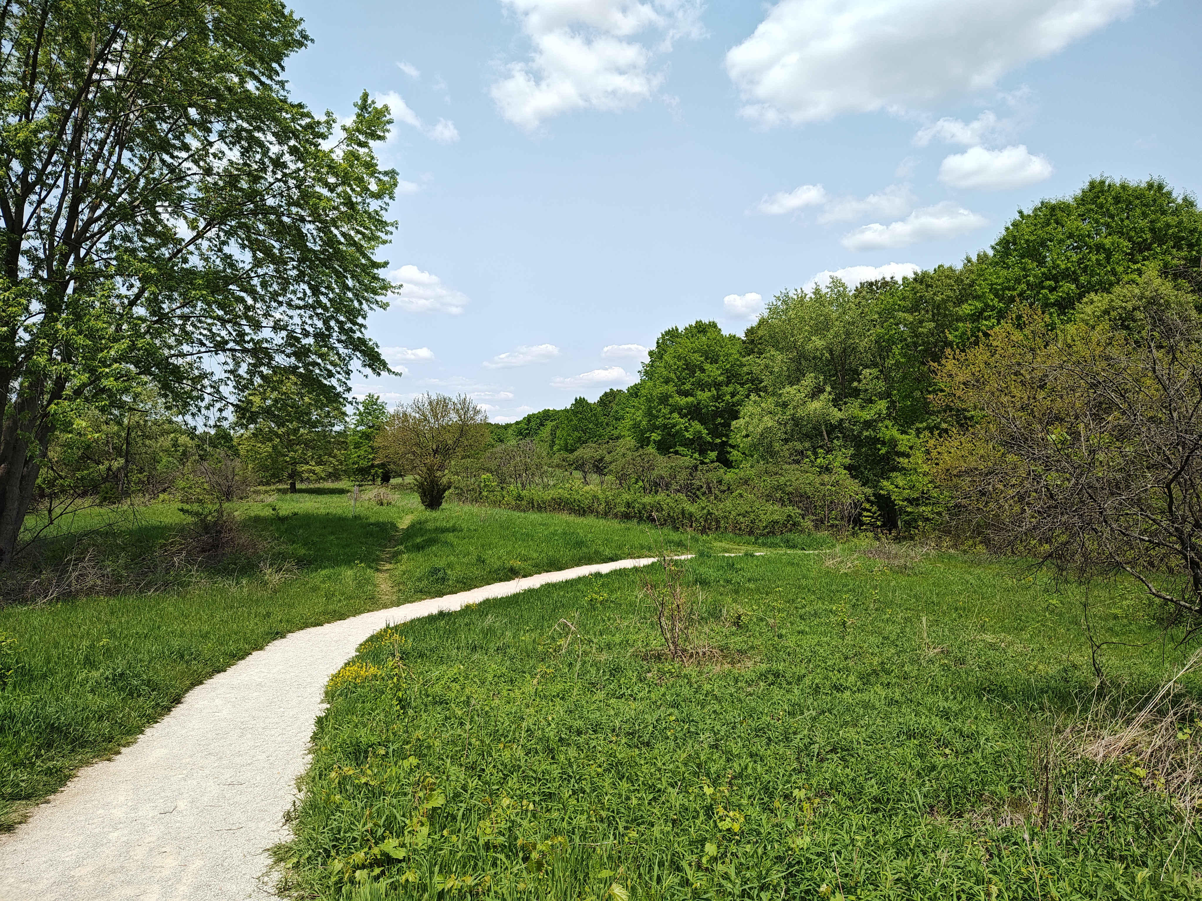 Photo of the path for a nature trail, taken with the Motorola Edge Plus (2023).