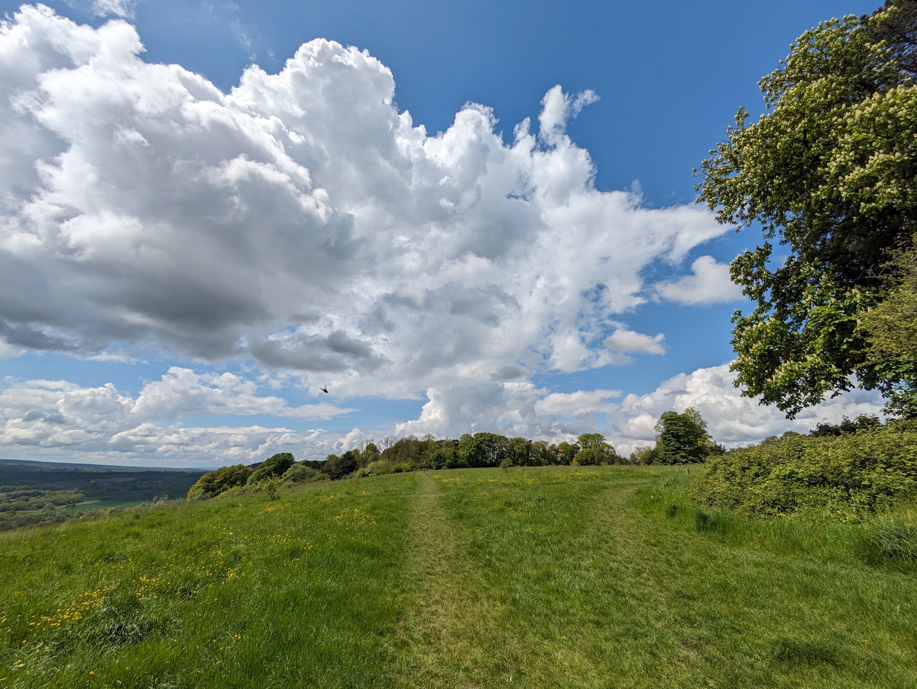 A photo taken with the Google Pixel 7a's wide-angle camera.