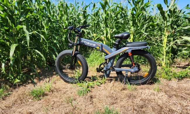 engwe x24 e bike review full on left side shot against cornfield background