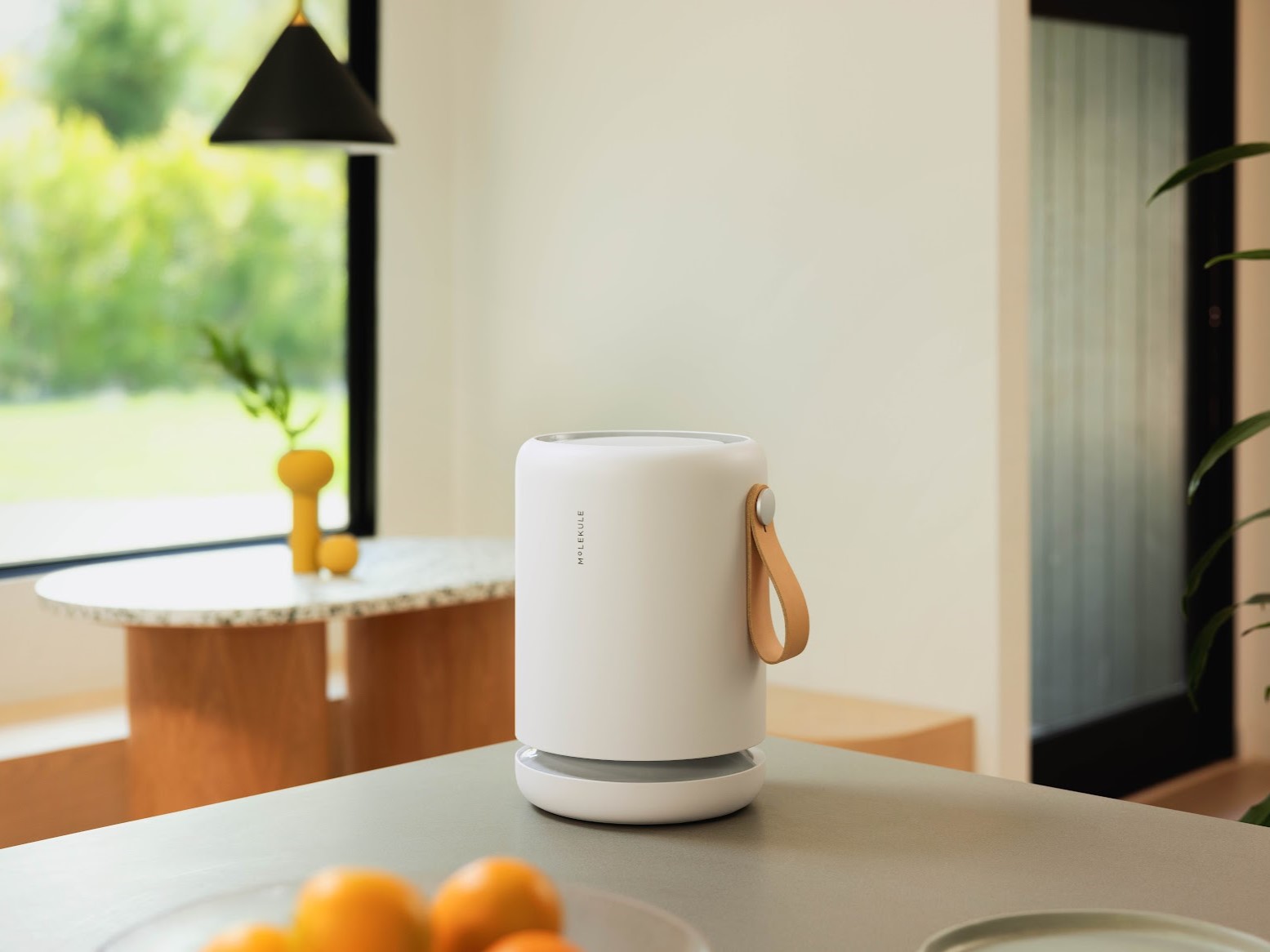 Molekule Air Mini+ air purifier on kitchen counter