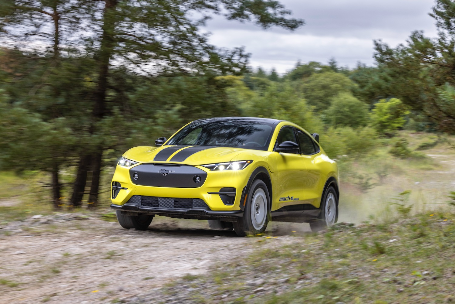 Ford Mustang Mach-E Rally driving on a dirt road.