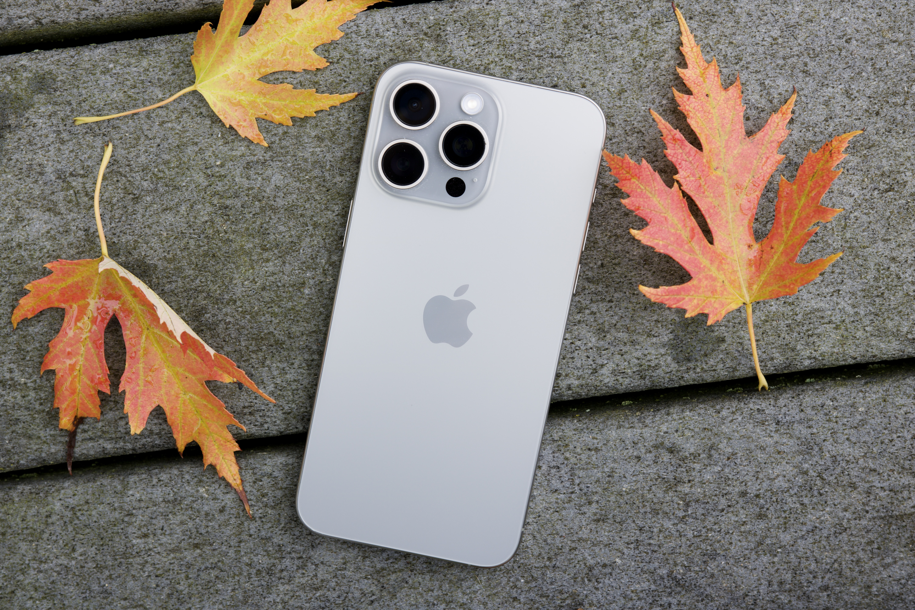 iPhone 15 Pro Max lying on the ground surrounded by leaves.