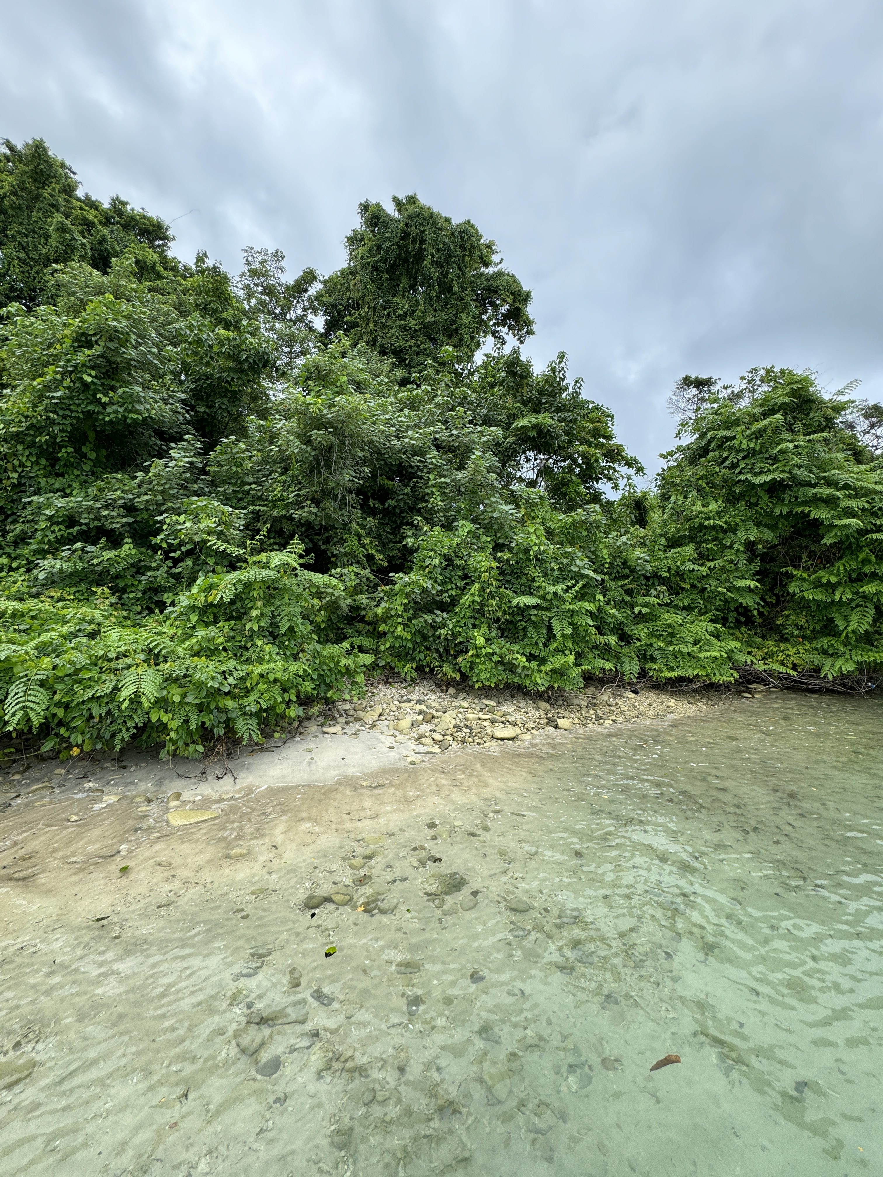 Nature shot with trees, sand and water shot on iPhone 15 Pro Photographic Style Standard.