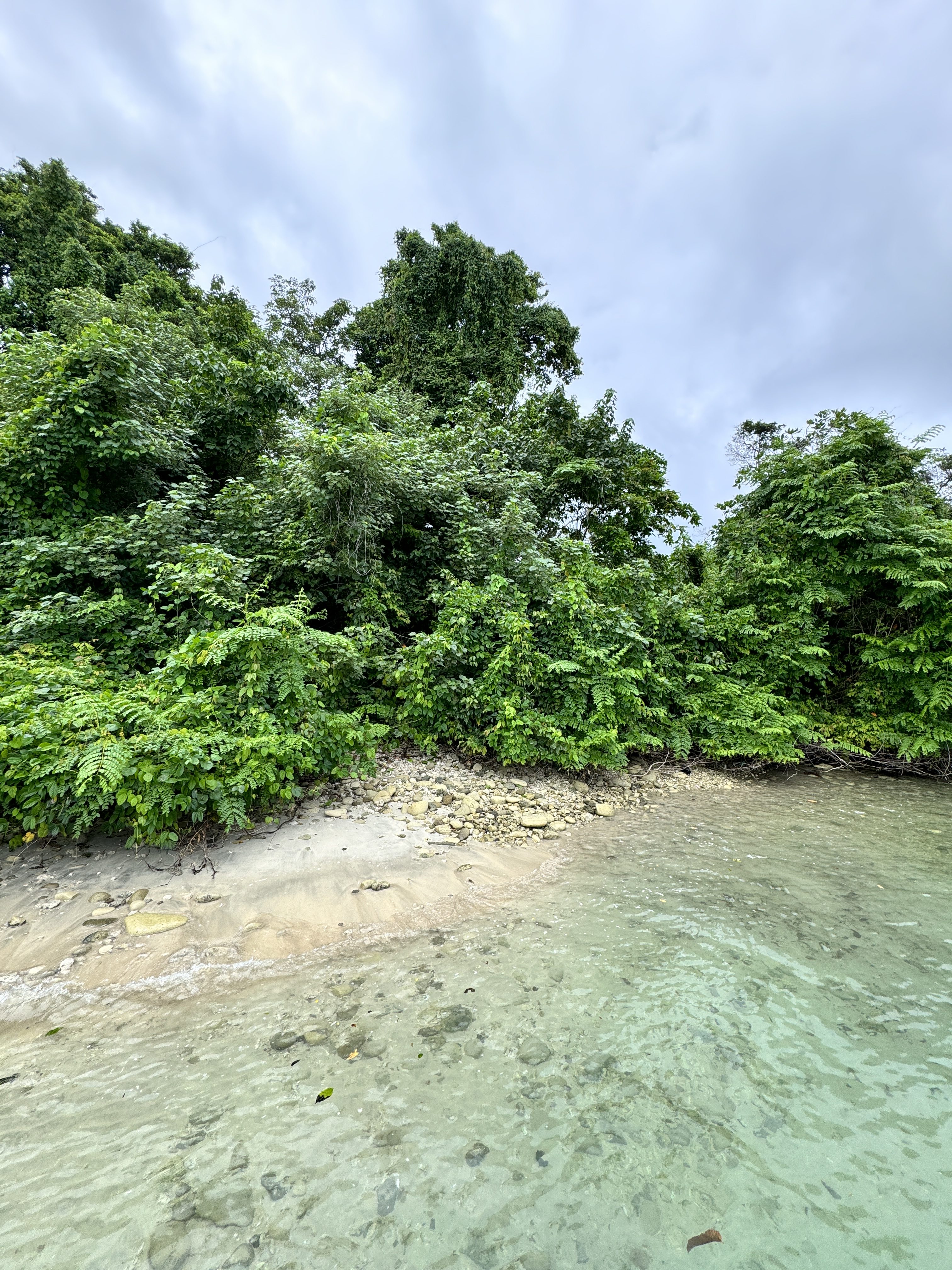 Nature shot with trees, sand and water shot on iPhone 15 Pro Photographic Style Vibrant Cool.