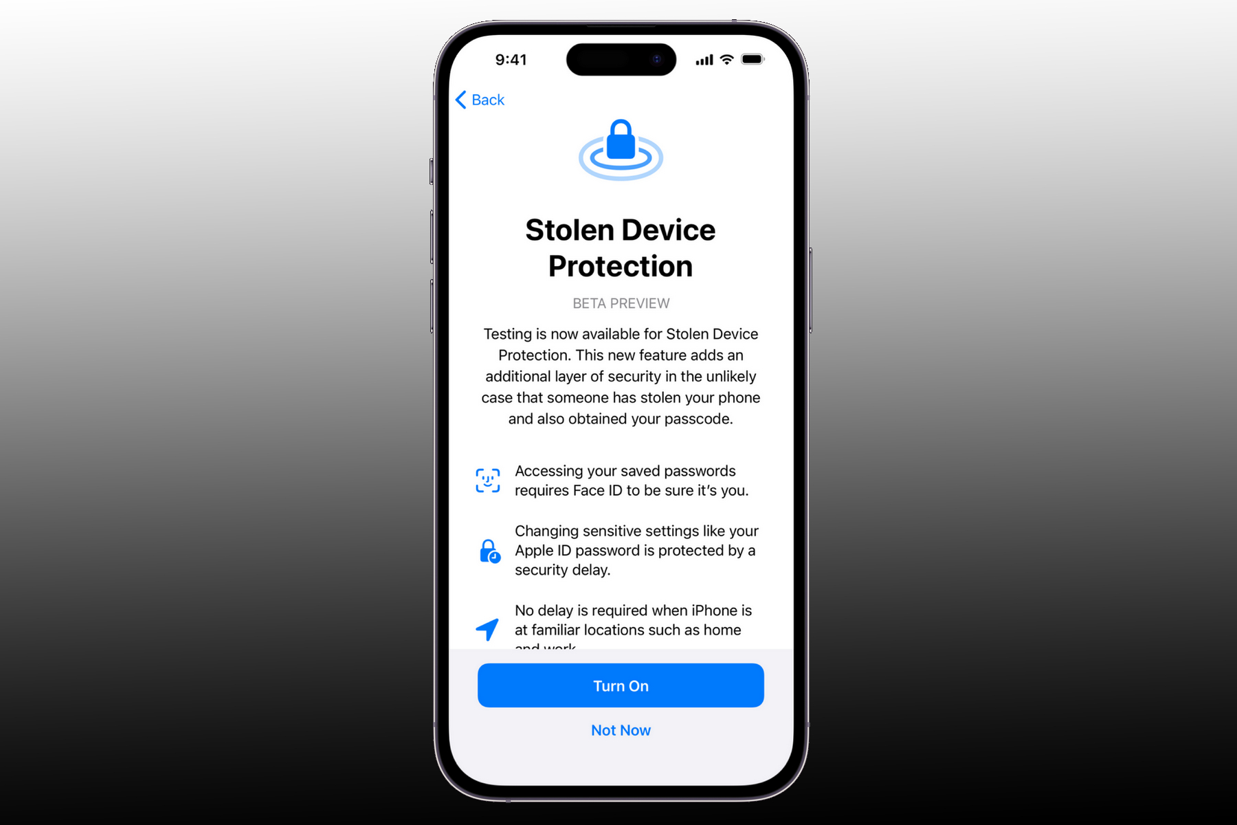 Stolen device protection feature on iPhone.